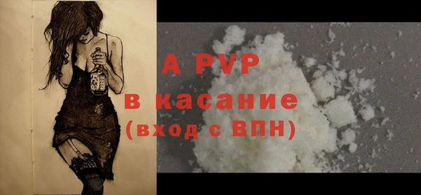 амф Гусь-Хрустальный