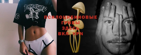 марки nbome Гусев