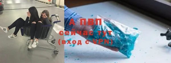 a pvp Гвардейск