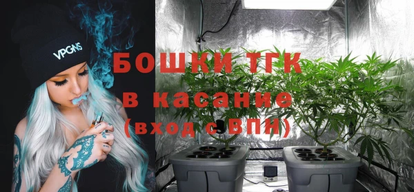 амф Гусь-Хрустальный