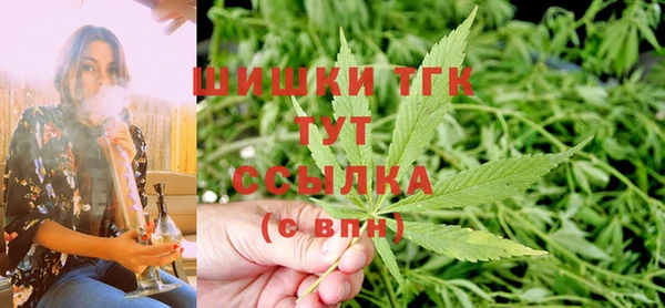 амф Гусь-Хрустальный