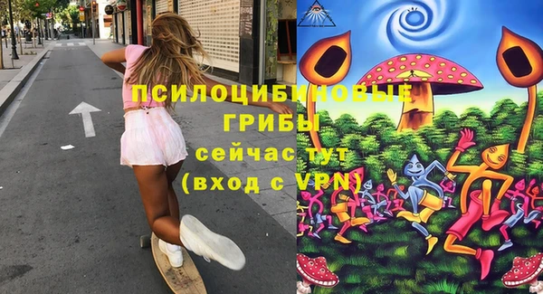 марки nbome Гусев
