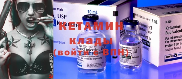 трава Гатчина