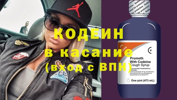 амф Гусь-Хрустальный