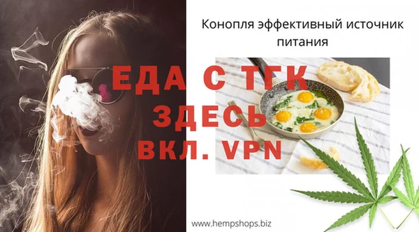 амф Гусь-Хрустальный
