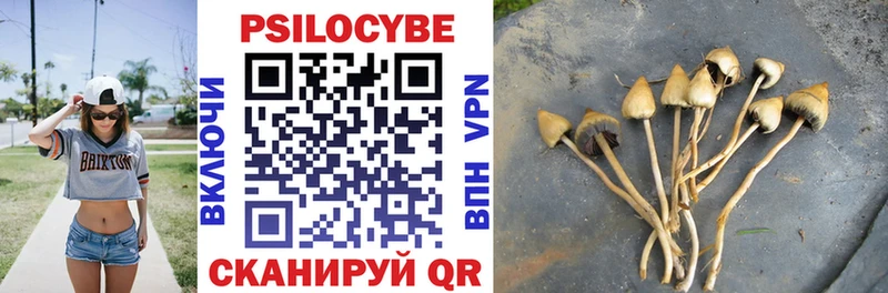 Галлюциногенные грибы мухоморы  Зея 